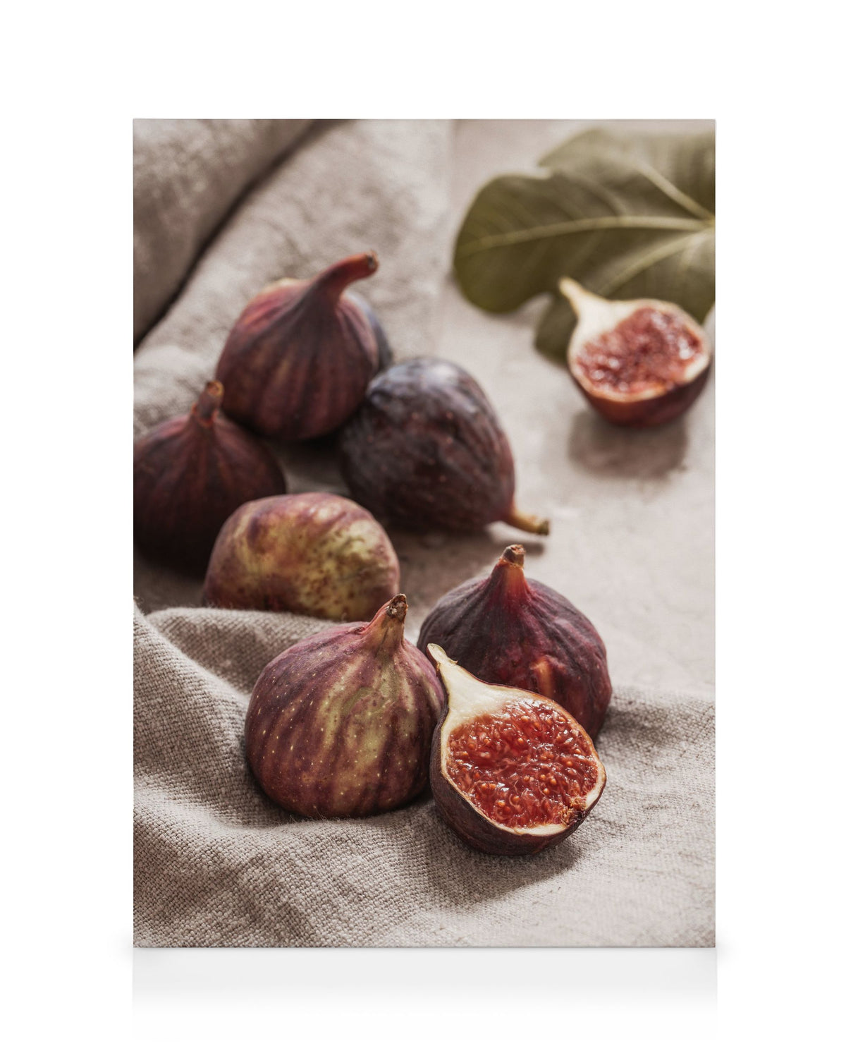 Fresh Fig Canvas print