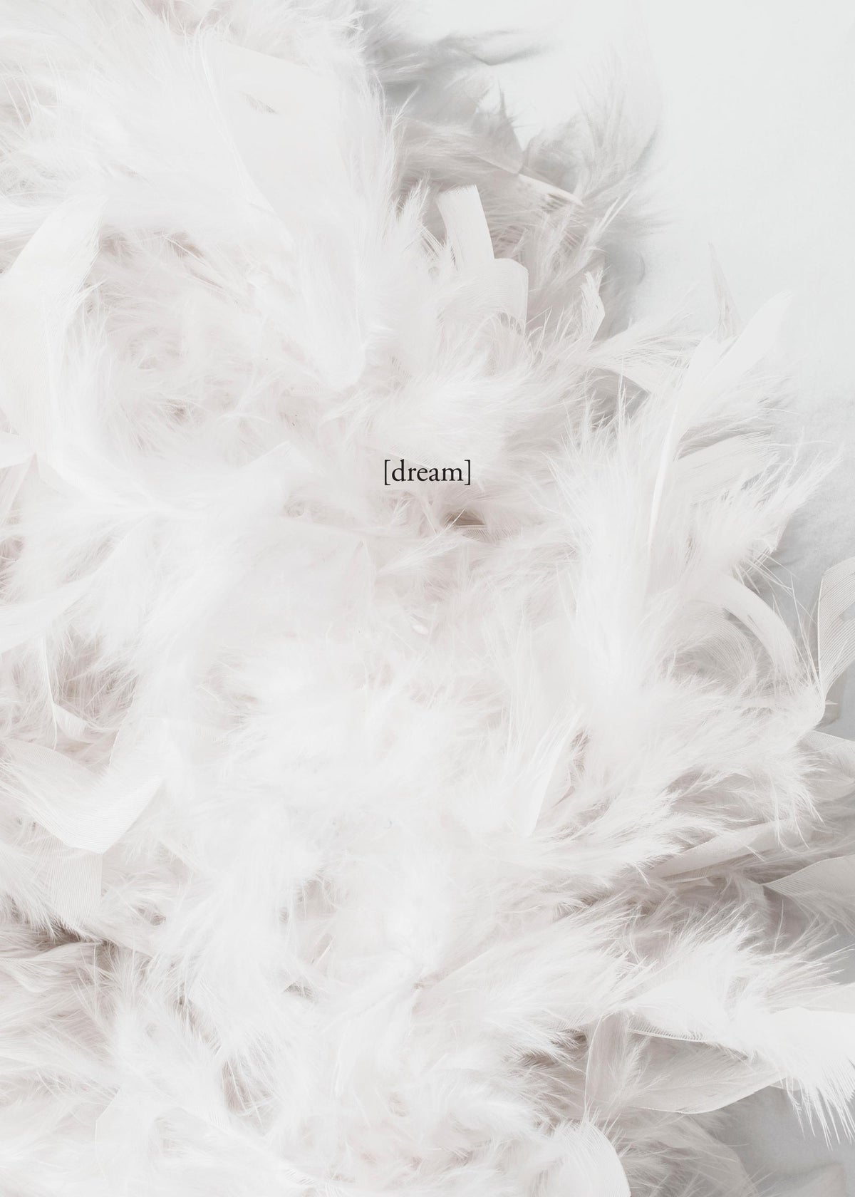 The Dream, Prints