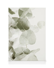 Abstract Eucalyptus No1 Canvas print