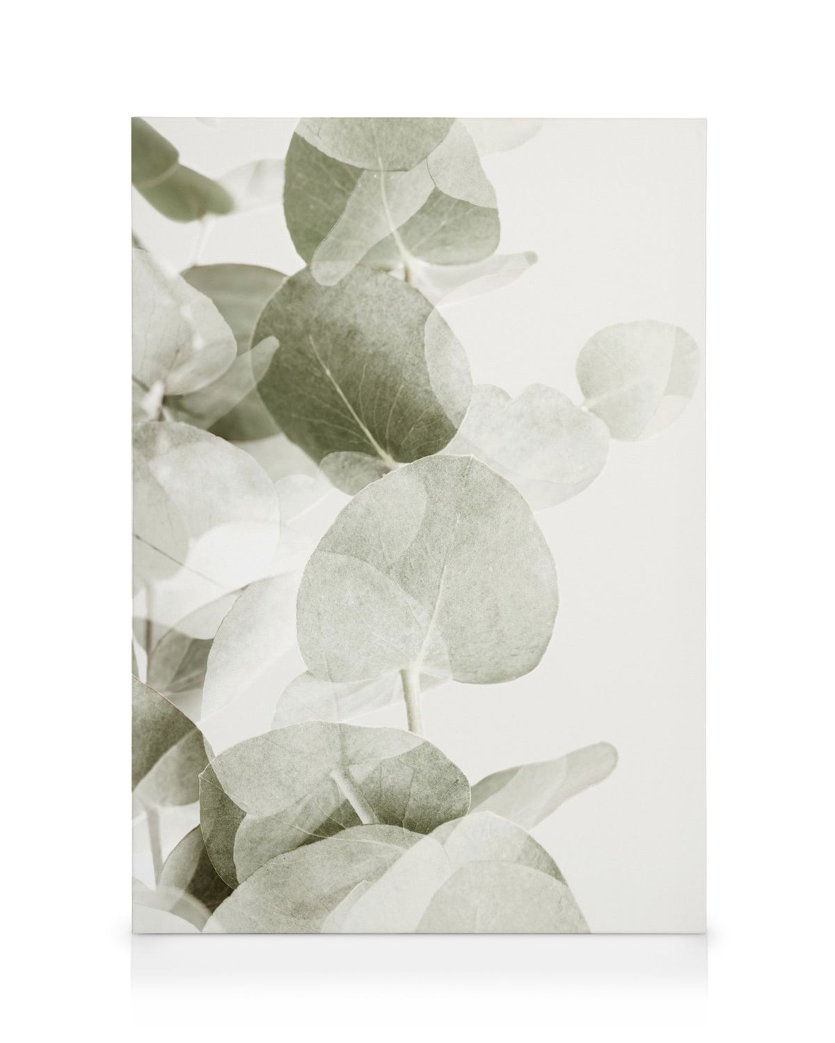 Abstract Eucalyptus No1 Canvas print