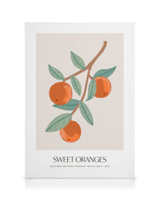 Sweet Oranges Canvas print