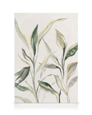 Painted Plant Canvas print