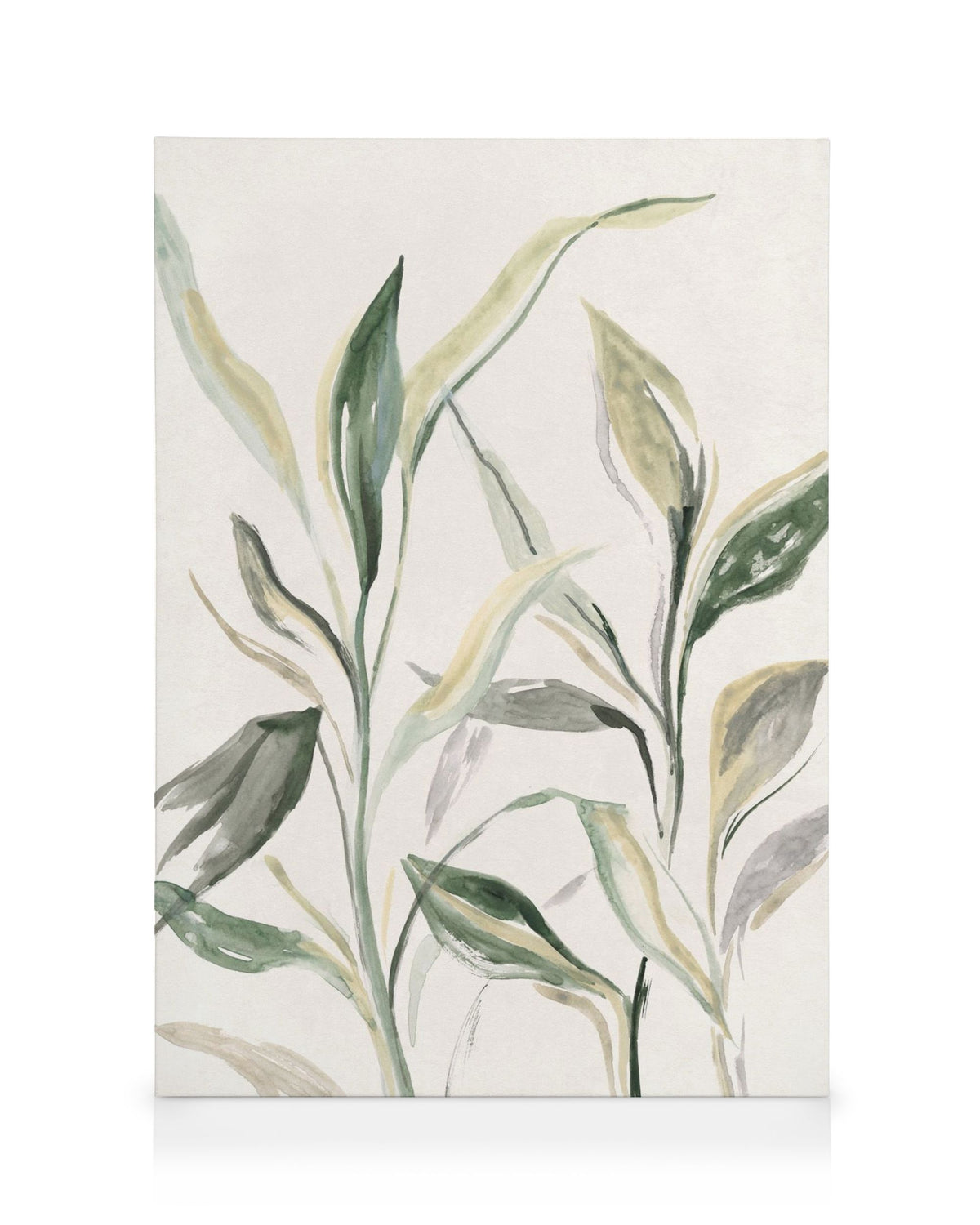 Painted Plant Canvas print