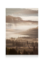 Sun Rays Through Mist Canvas print