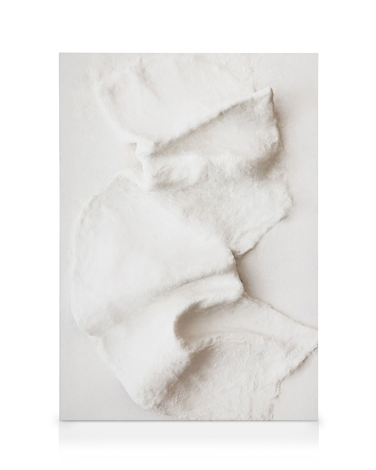 Sculpted Plaster Texture Canvas print