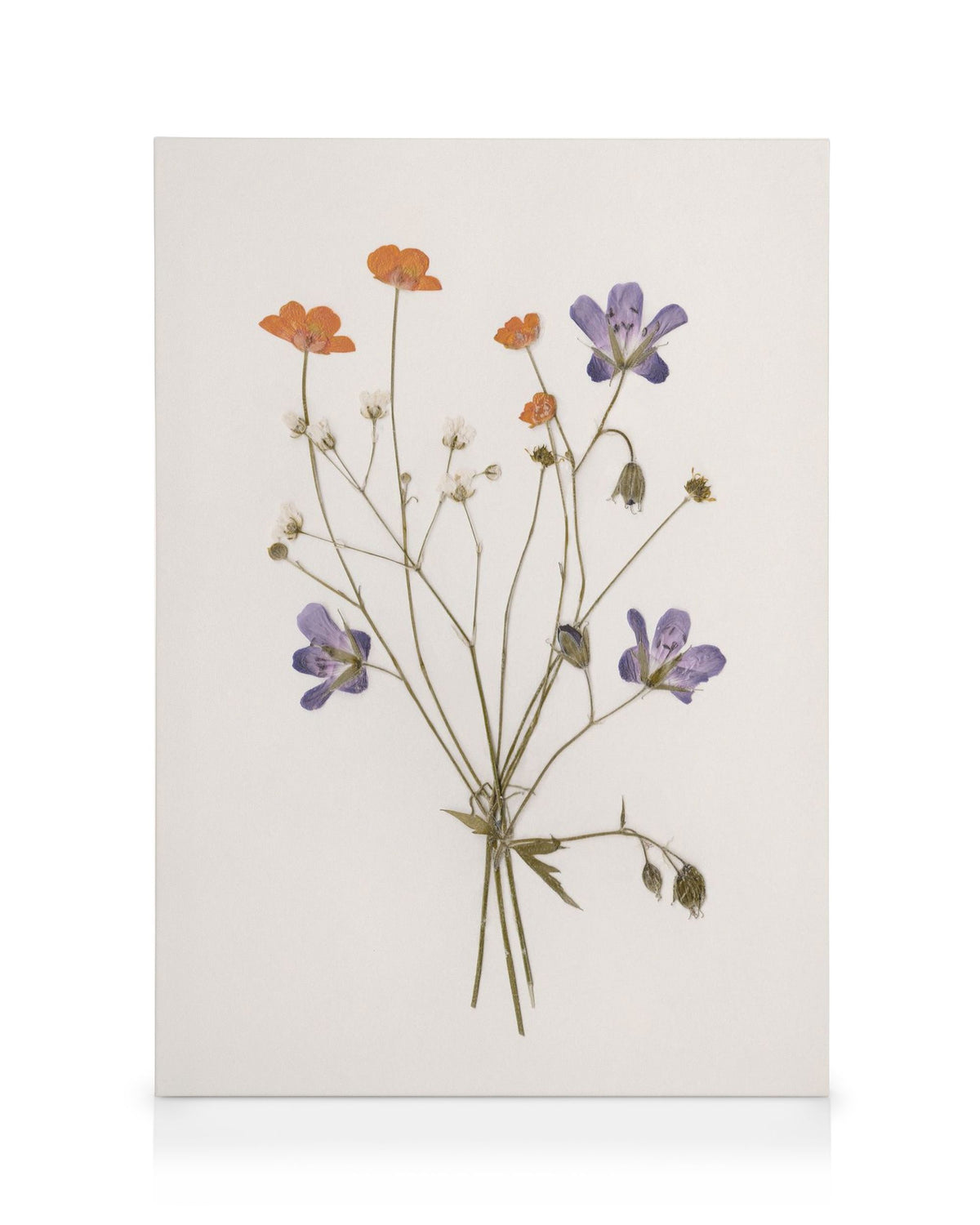 Pressed Flowers No1 Canvas print
