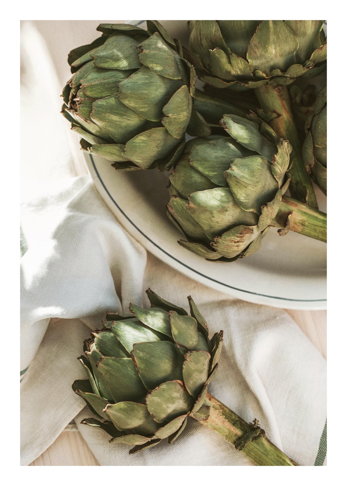 Artichoke in Sunlight Print