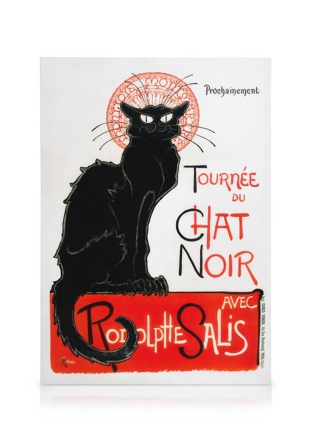 Chat Noir Canvas print