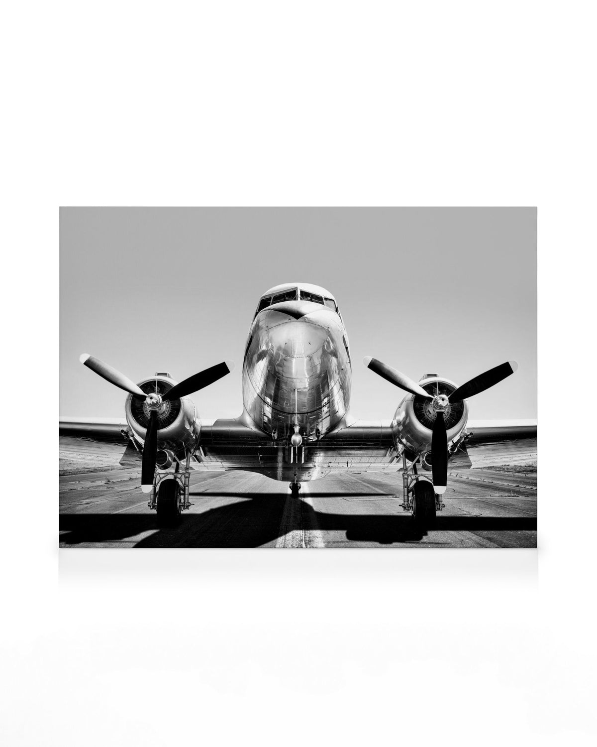 Vintage Airplane Canvas print