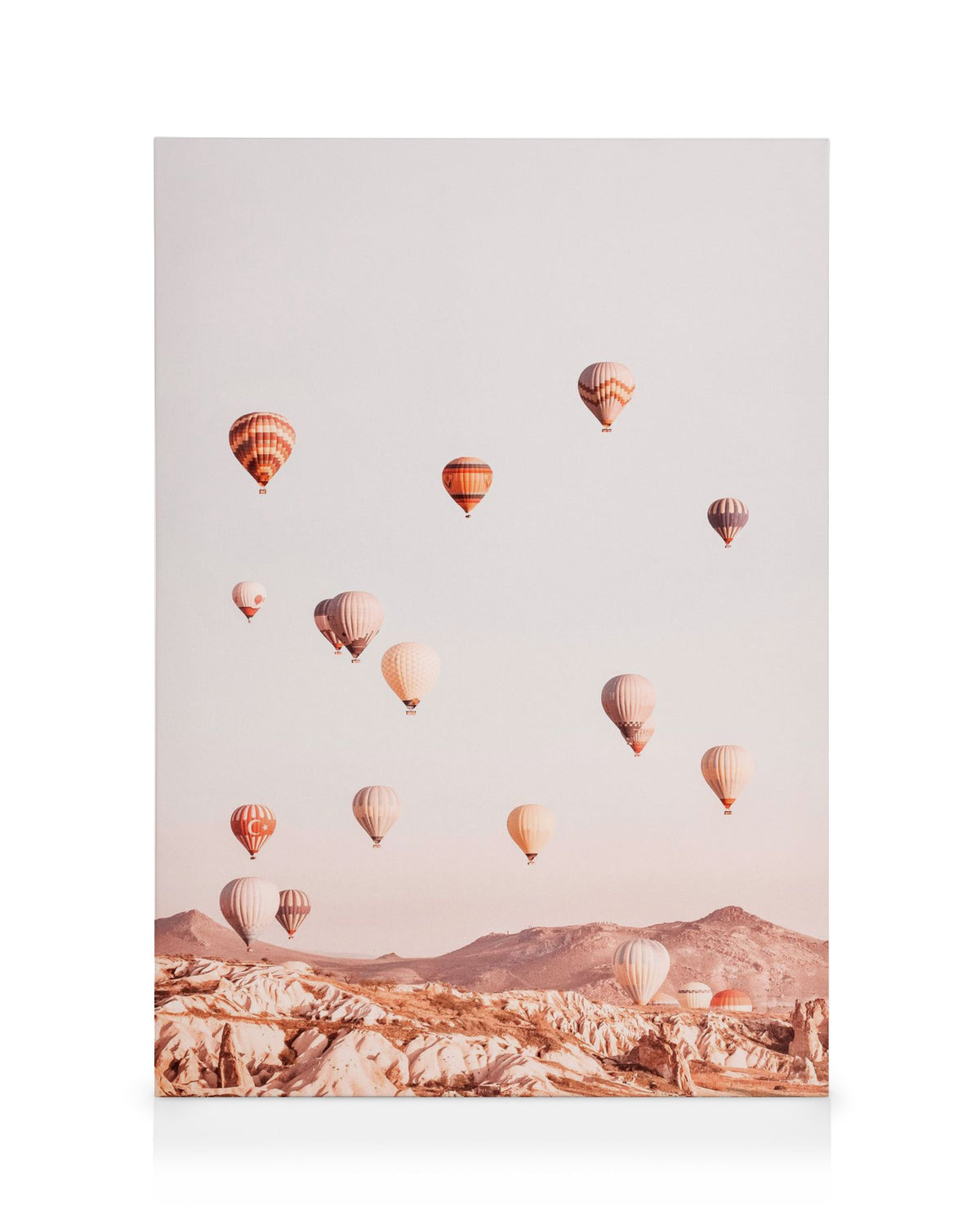 Let'S Fly Away Canvas print