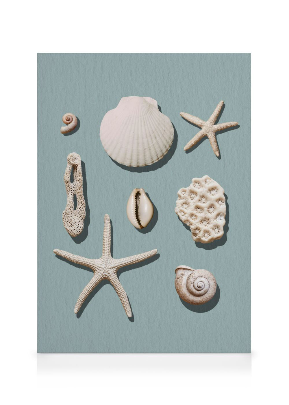 Marine Memories Canvas print