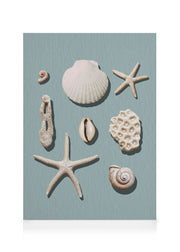 Marine Memories Canvas print