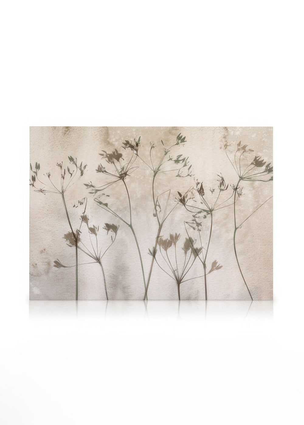 Dried Flowers Art No1 Canvas print