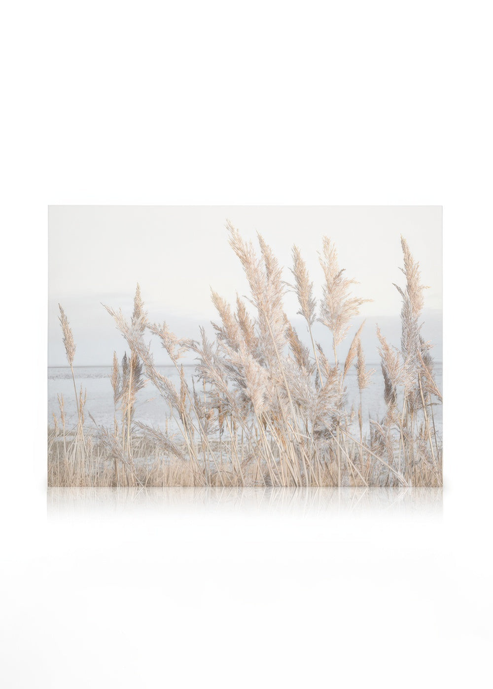 Reeds by the Sea Canvas print