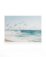 Birds on Seascape Canvas print