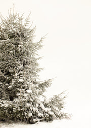 Snowy Holiday Tree Poster