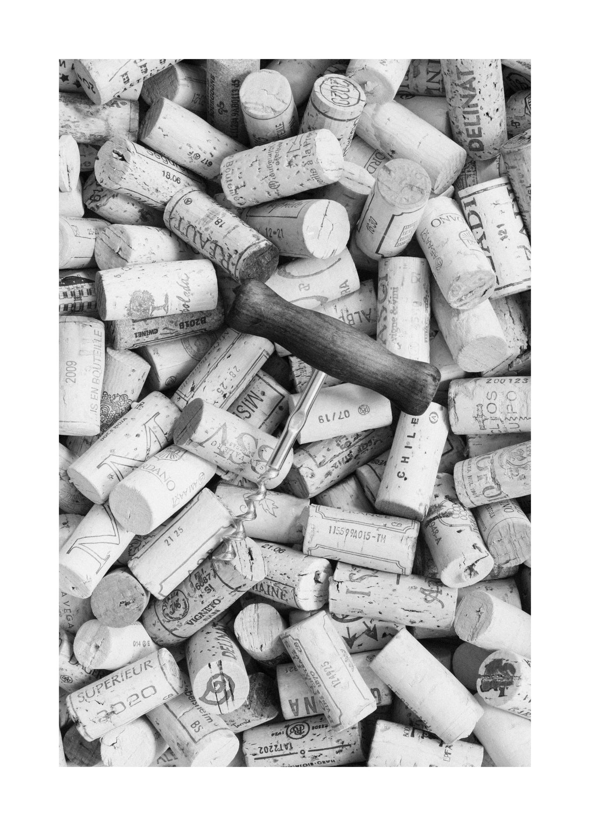 Wine Corks Print