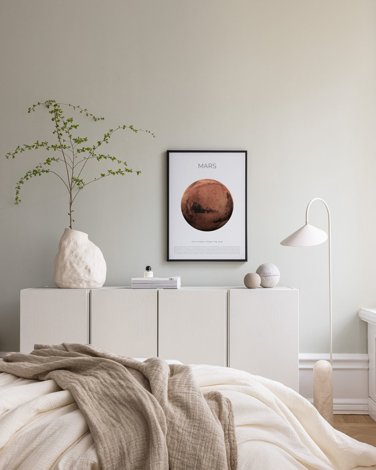 Planet Mars Canvas print