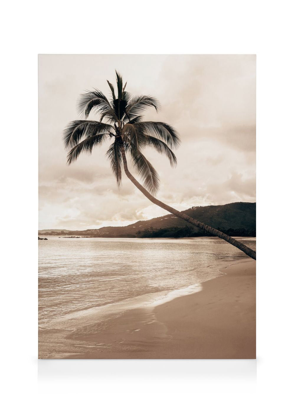 Golden Palm Trees Canvas print