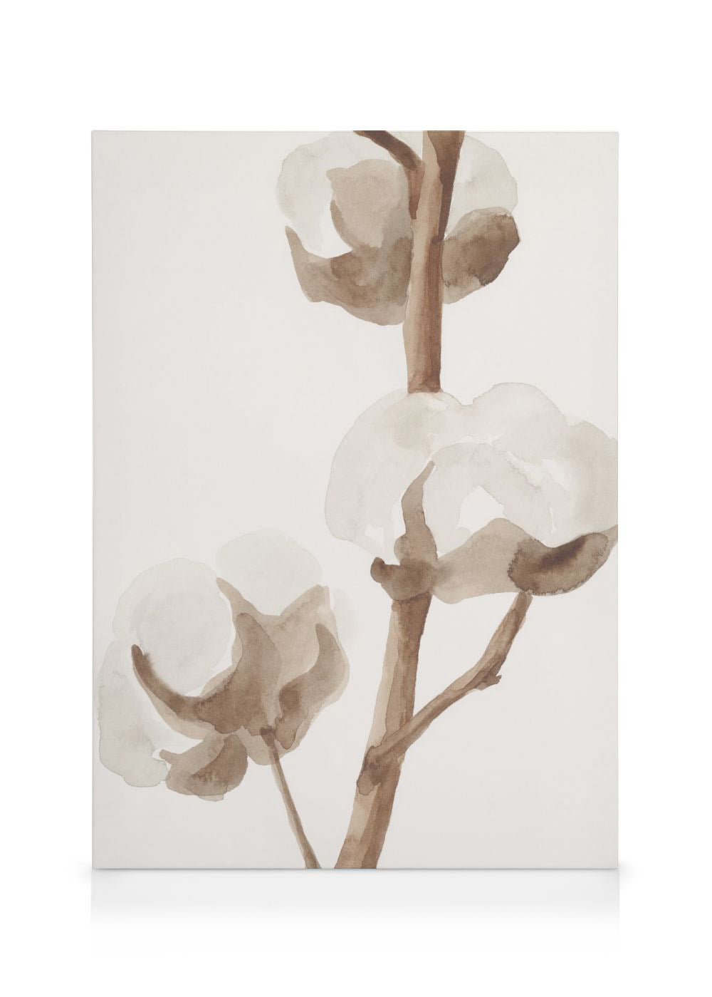 Aquarelle Cotton Flowers Canvas print