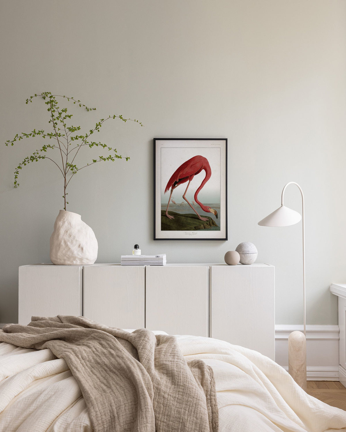 American Flamingo Canvas print