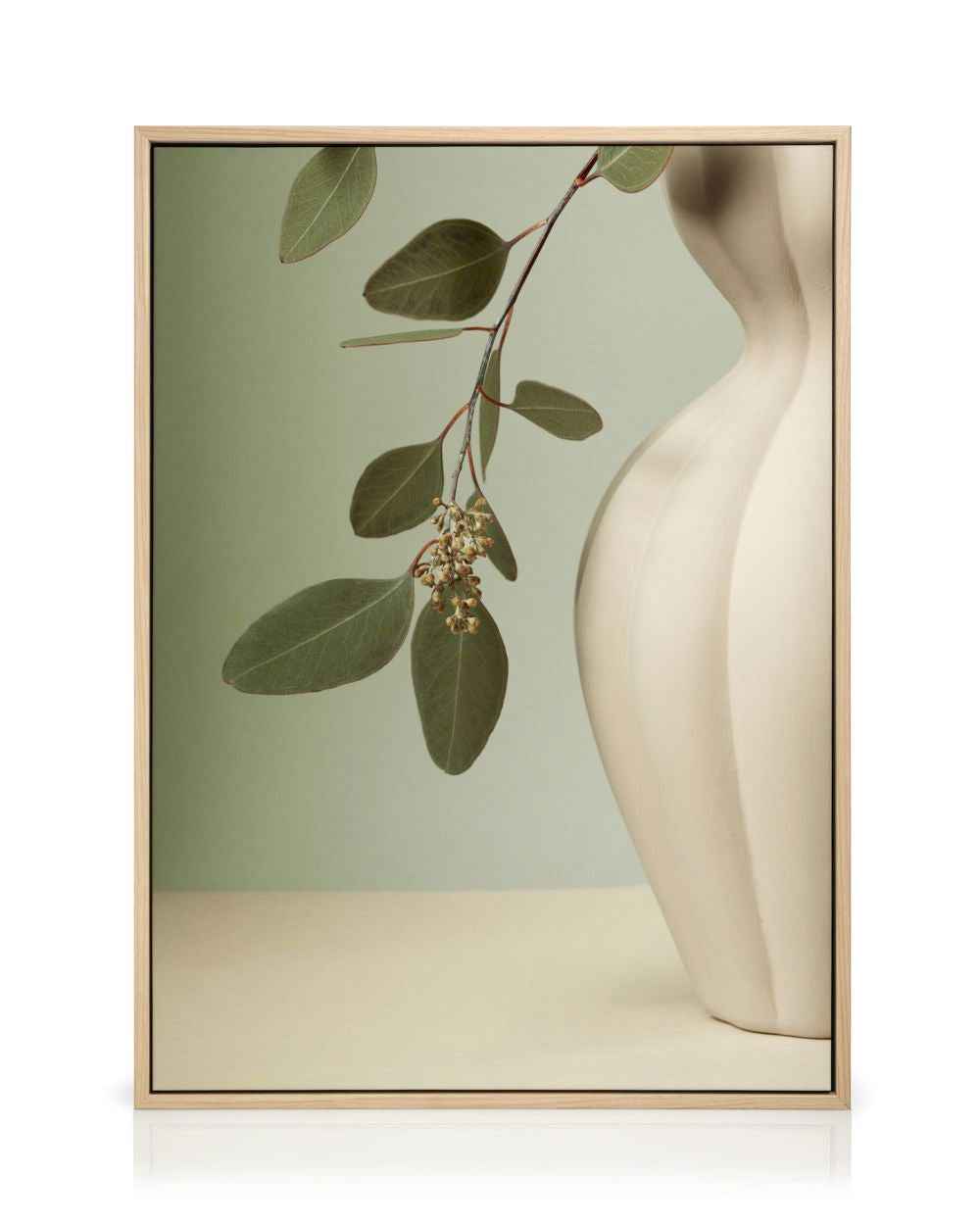 Soft Eucalyptus Canvas print