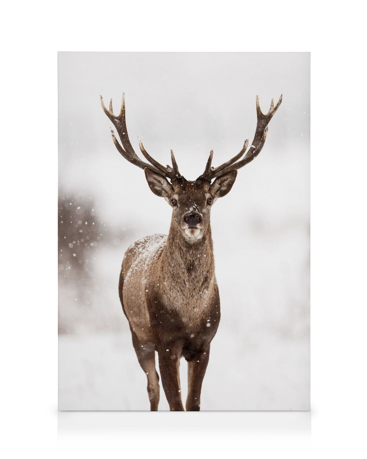 Deer Winter Landscape Canvas print