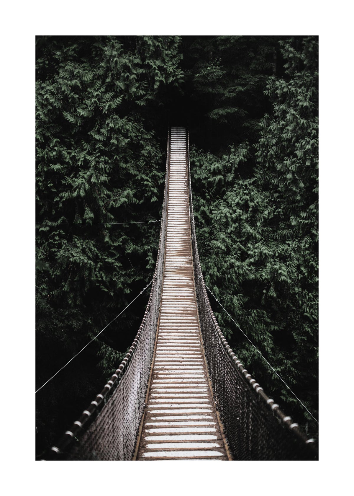 Forest Bridge Print