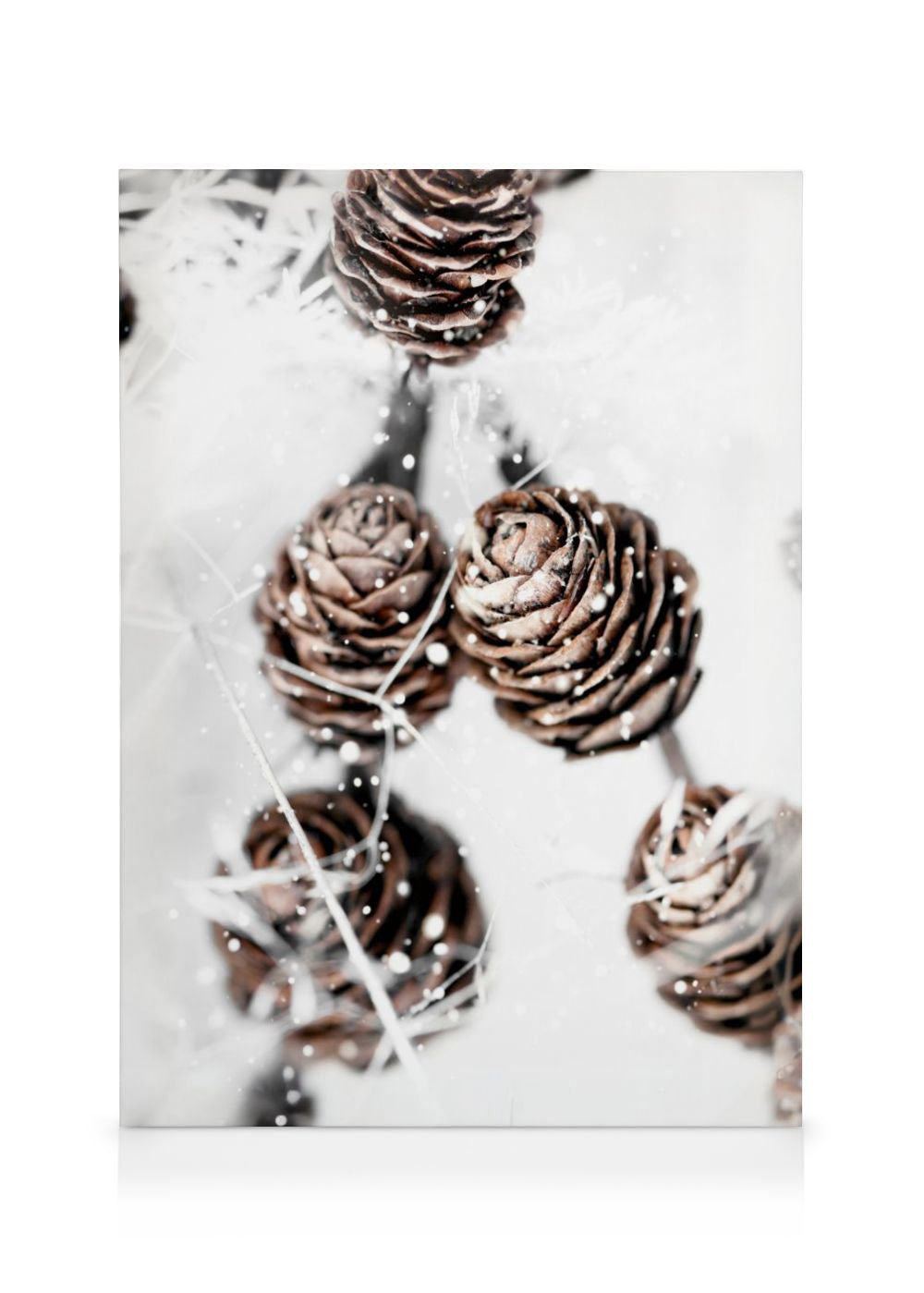 Winter Cones Canvas print