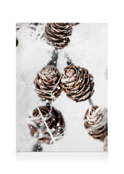 Winter Cones Canvas print