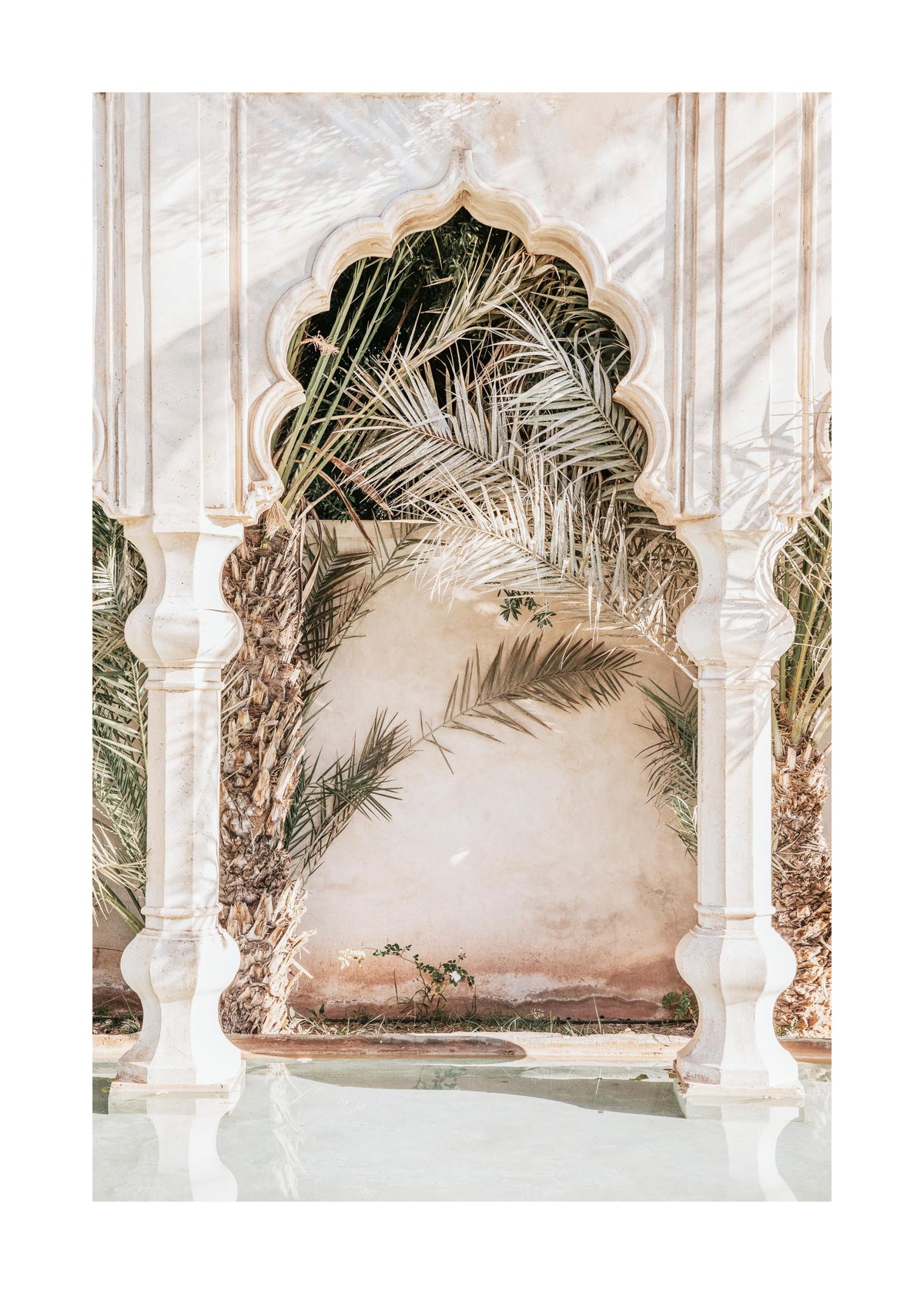 Dappled Light Print