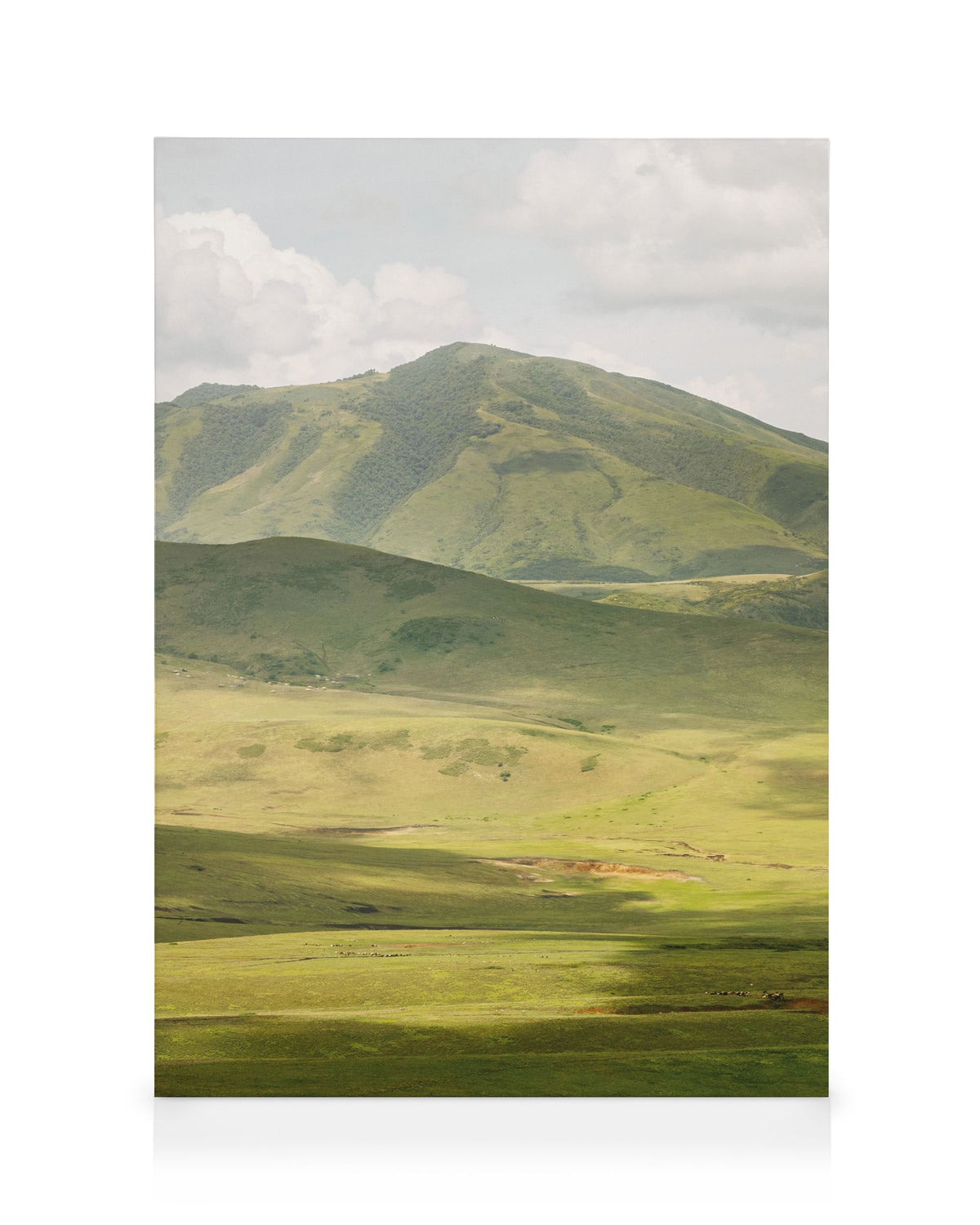 Highlands No2 Canvas print