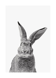 Black and White Rabbit Print
