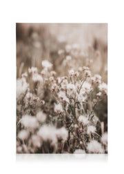 Dried Flowers on Field Canvas print
