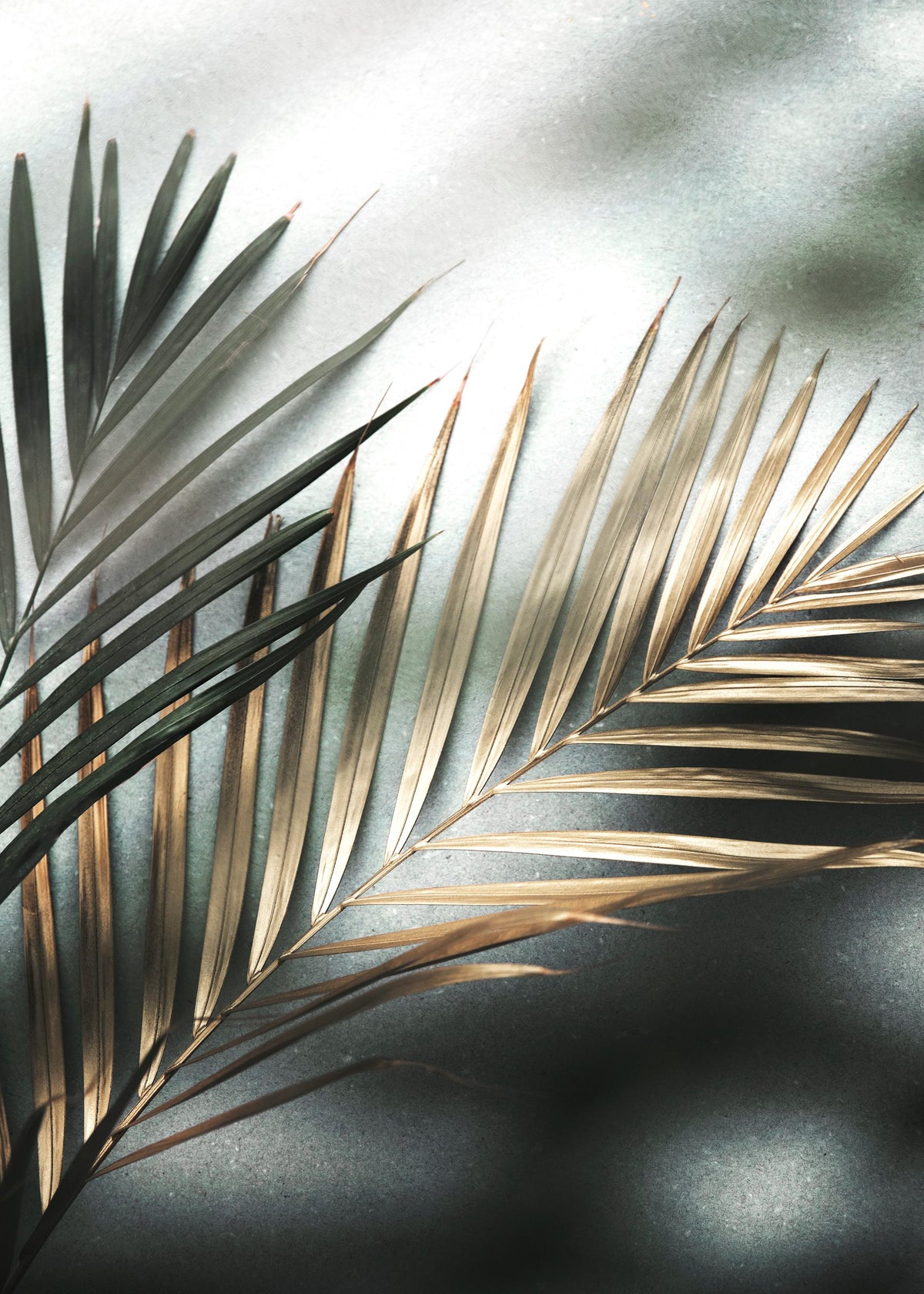 Golden Palm Print
