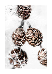 Winter Cones Print