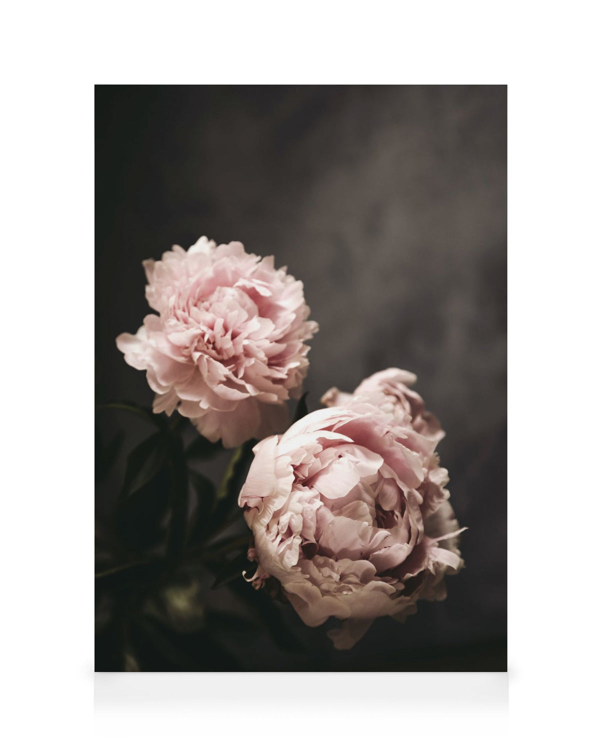 There's Beauty Canvas print
