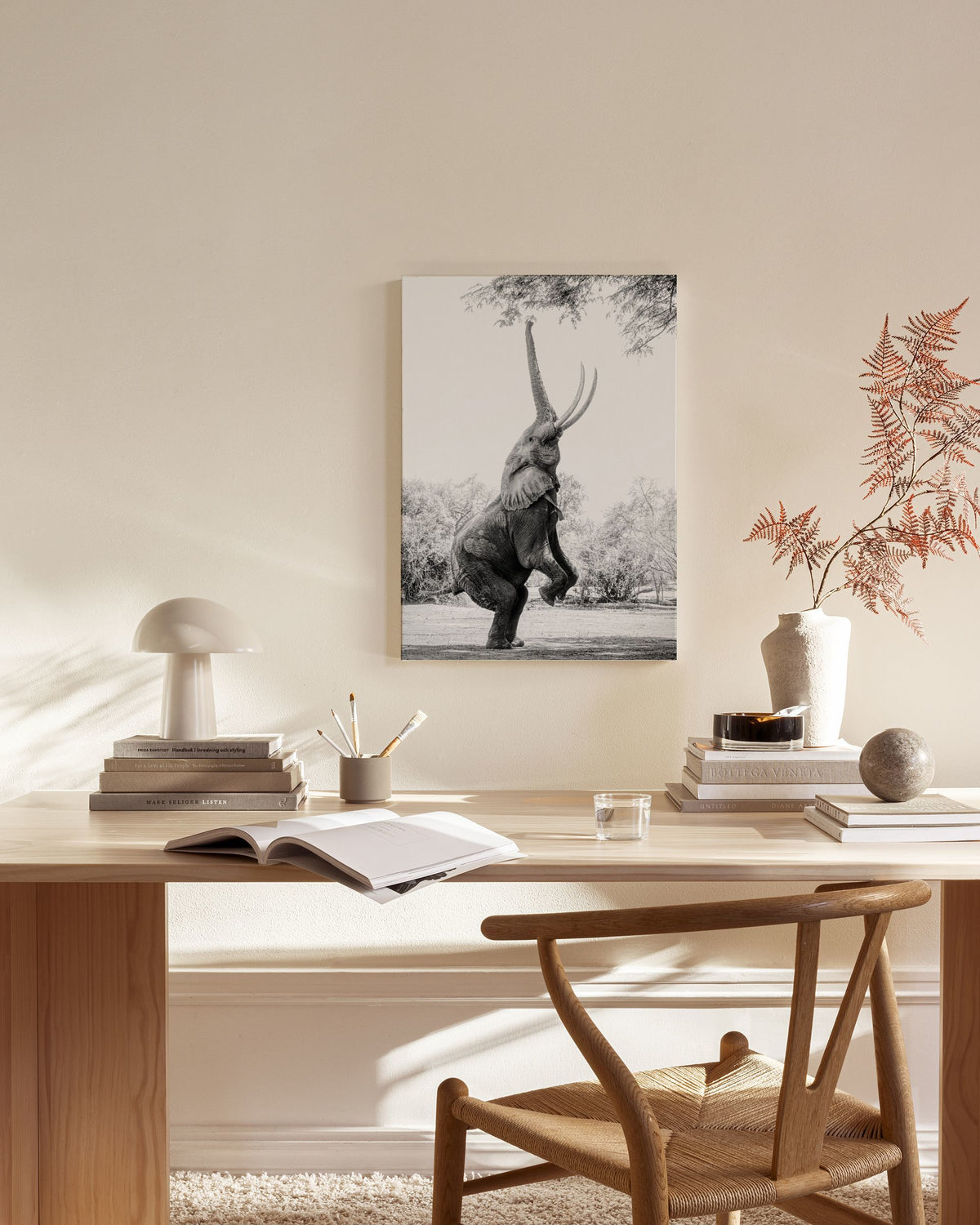 Balancing Elephant Canvas print