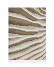Sand Texture Canvas print
