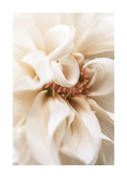 Warm Flower No1 Print