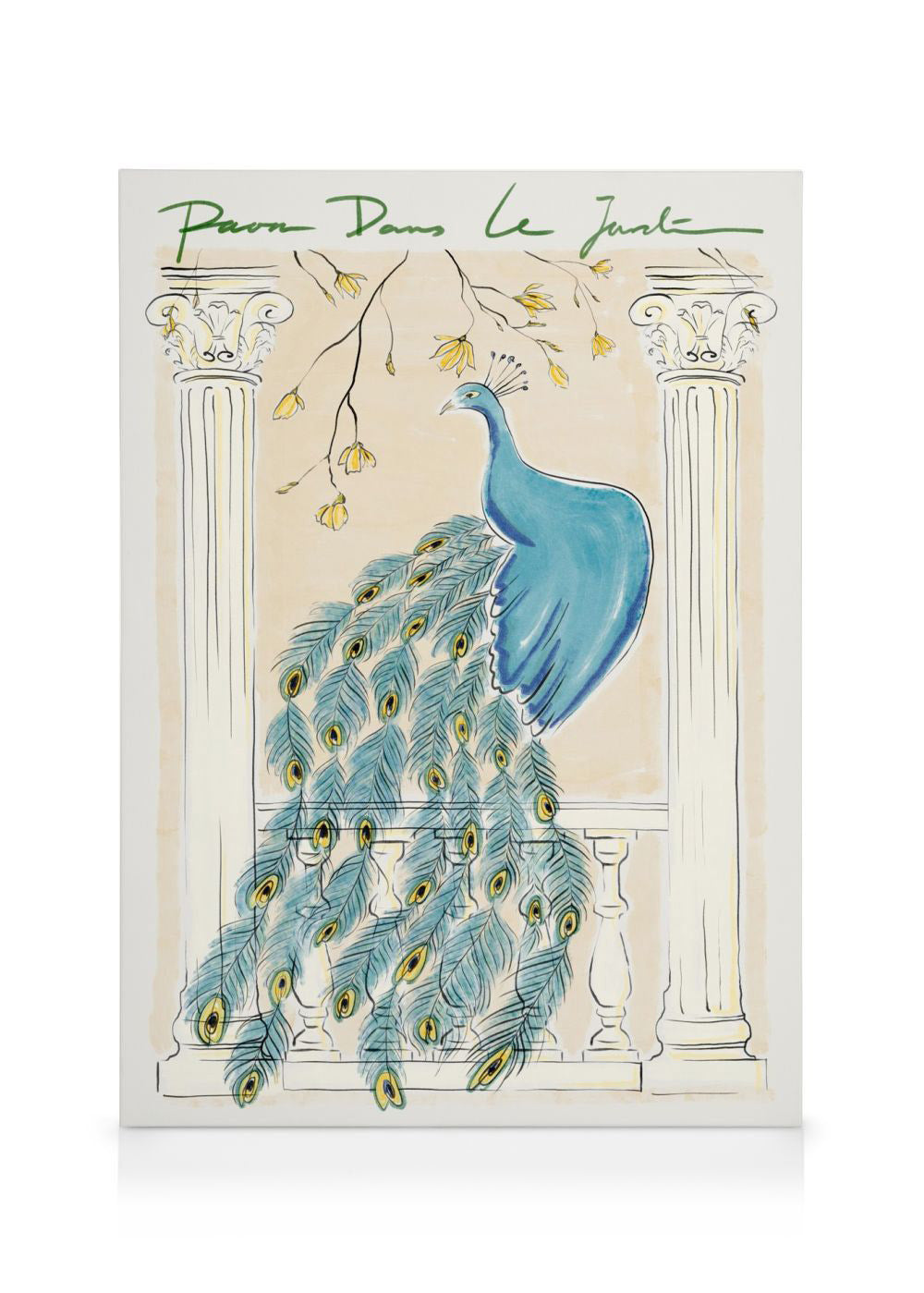 Peacock in the Garden Canvas print