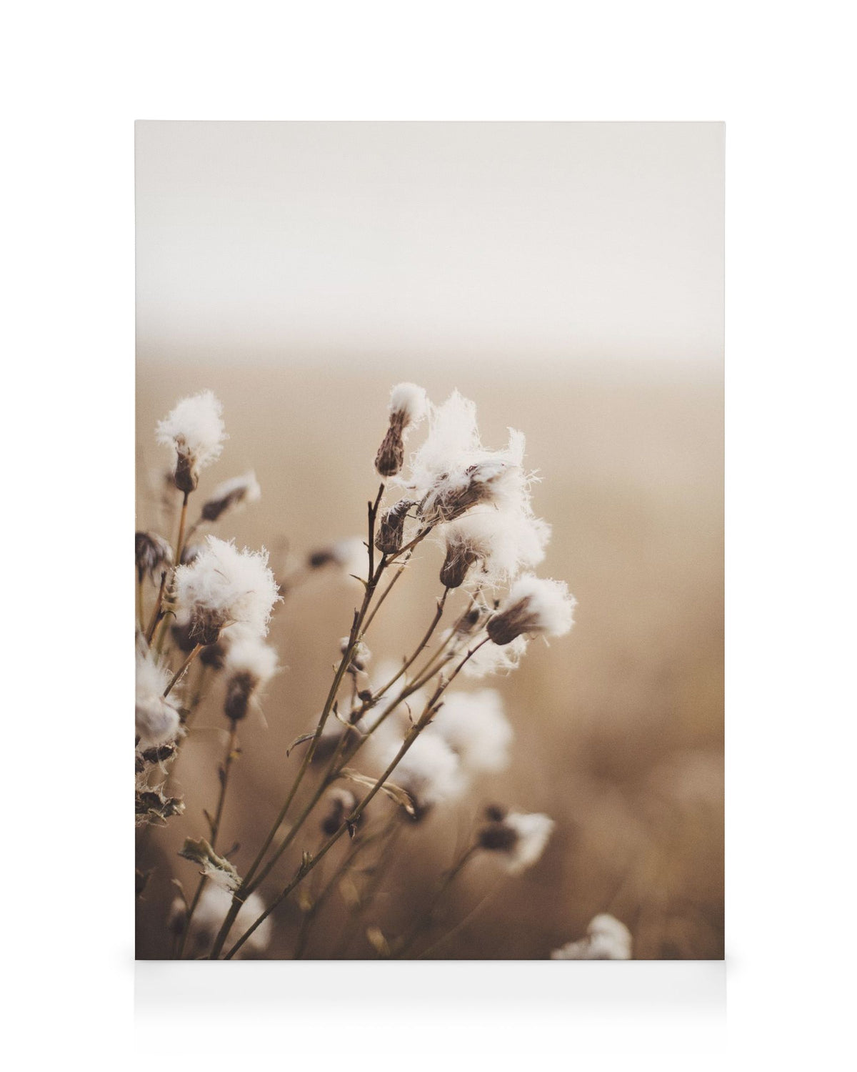 Moody Flowers Canvas print