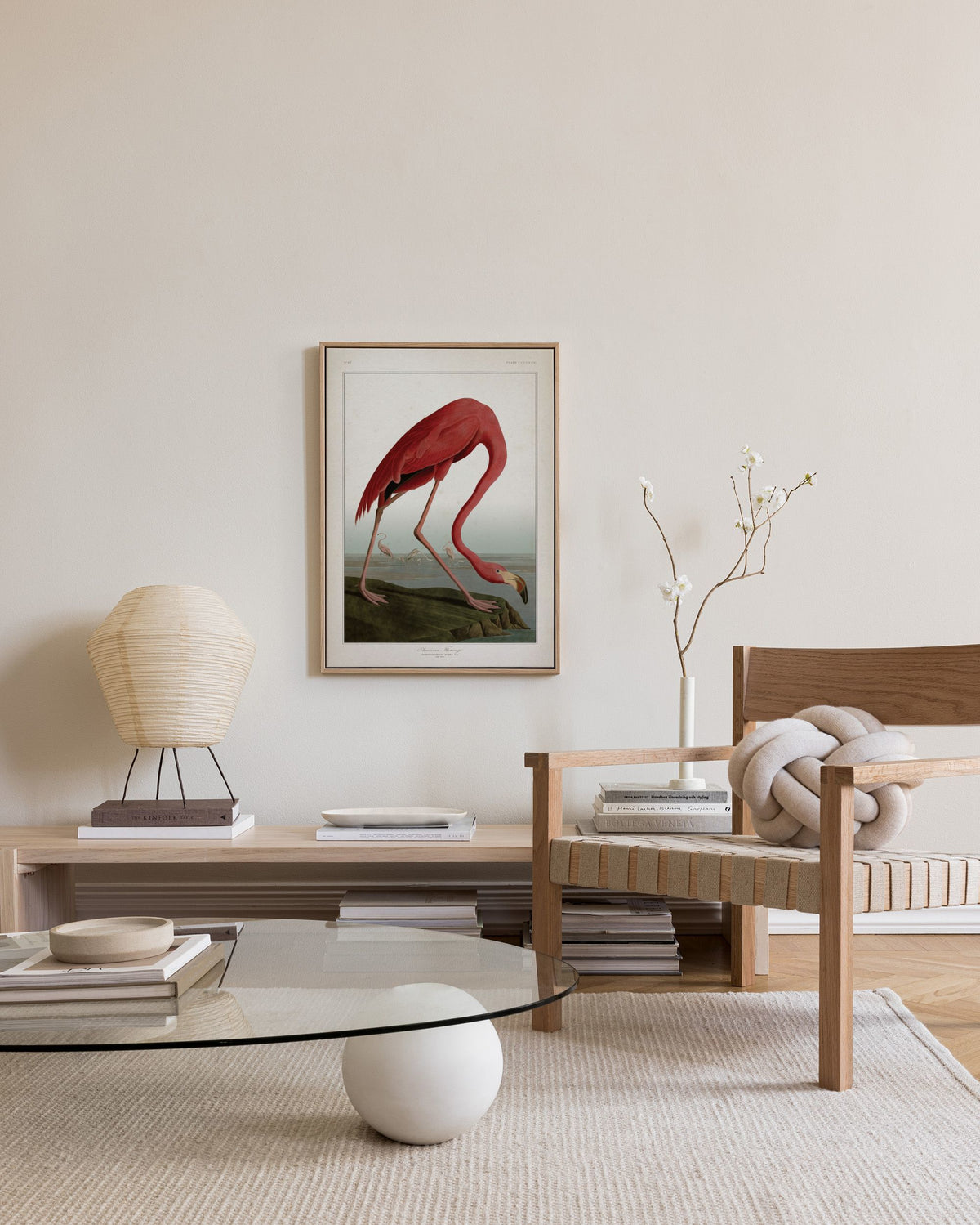 American Flamingo Canvas print