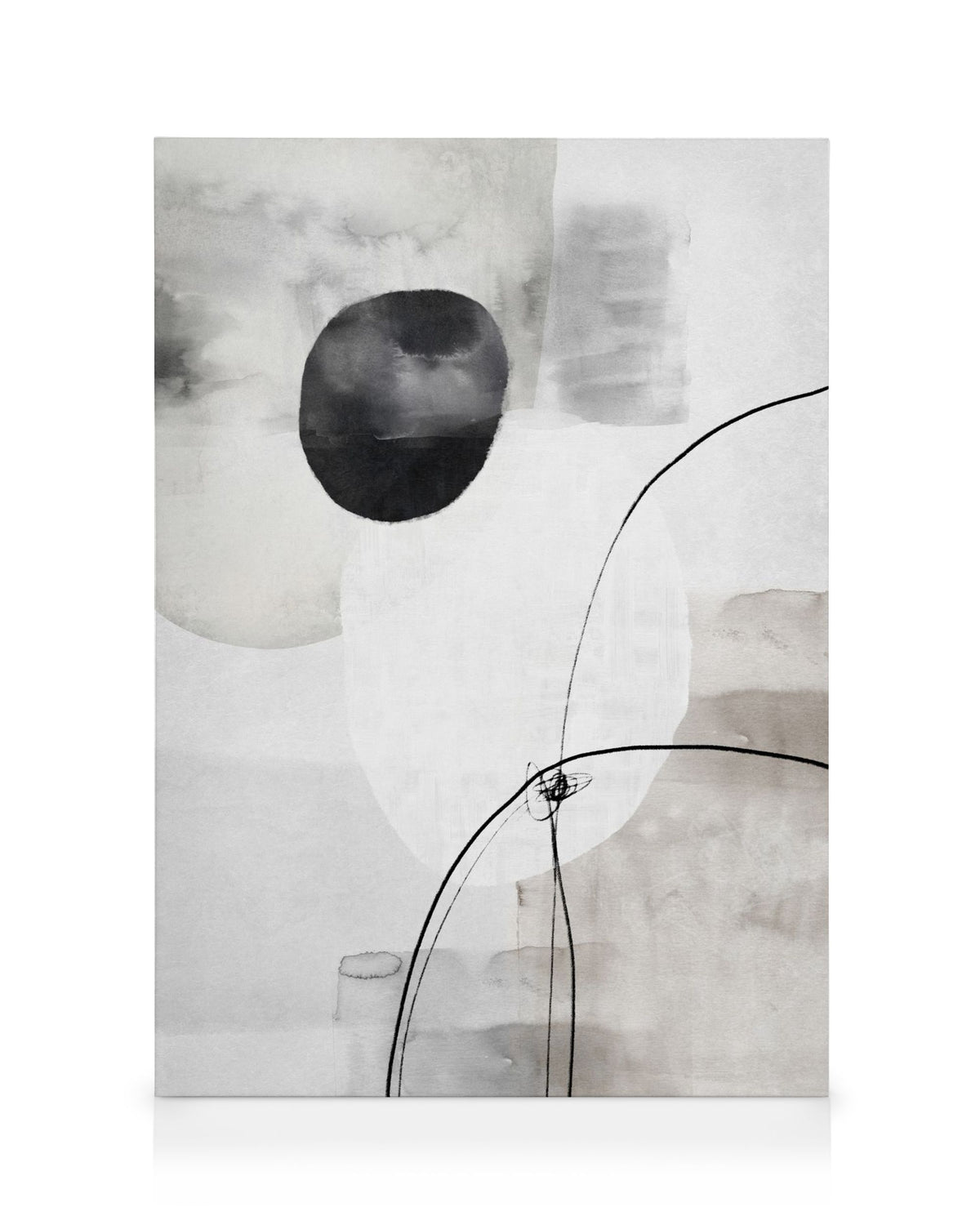 Painted Monochrome Shapes No2 Canvas print