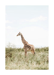 Elegant Giraffe Print