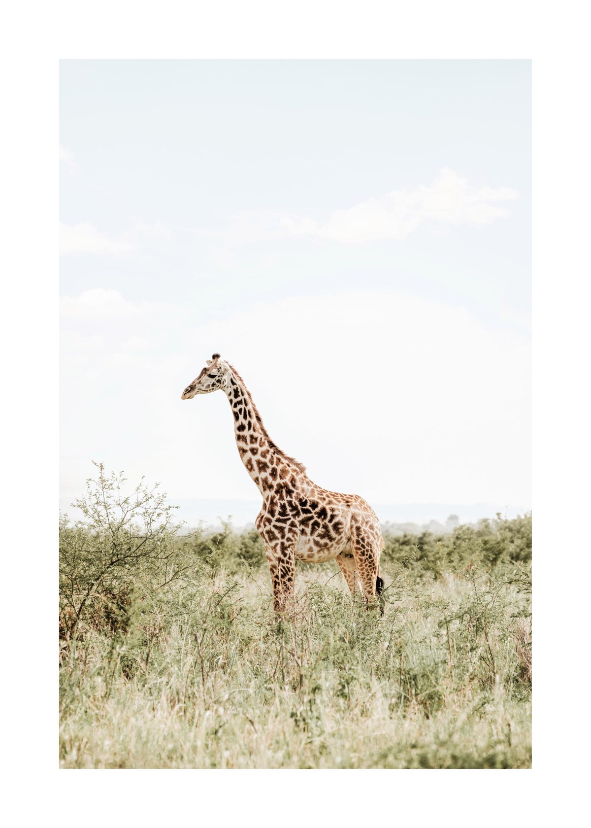Elegant Giraffe Print