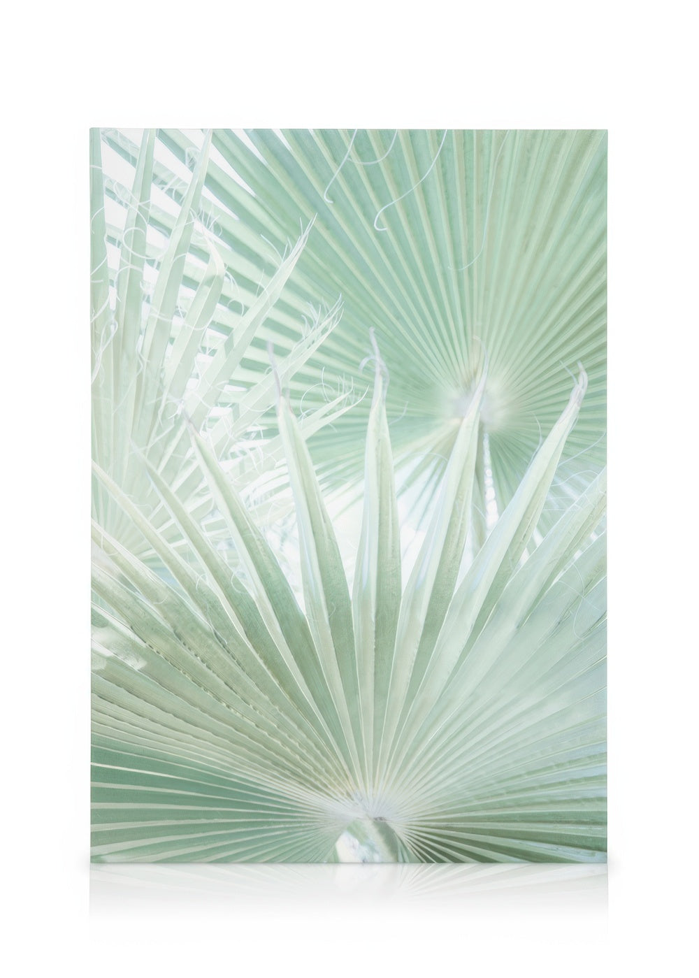 Light Green Leaves Canvas print