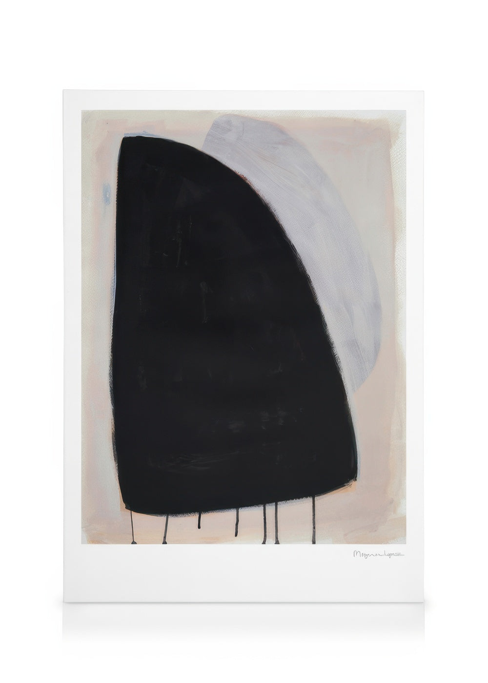 Painted Shadow Canvas print