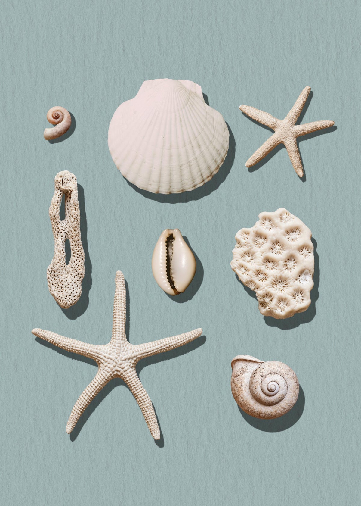 Marine Memories Print