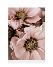 Lovely Pink Flowers Canvas print